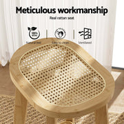 Everton Rattan Bar Stool Set of 2