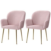 Ridley Velvet Dining Chair Set of 2 – Pink