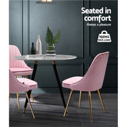 Merritt Velvet Dining Chair Set of 2 – Pink